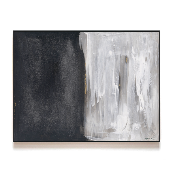Shadow Veil - Black and White Abstract Painting #M5900