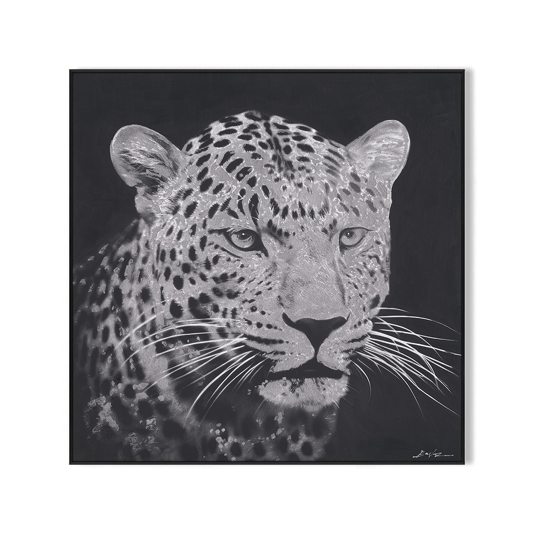 Steely Stare - Black and White Leopard Oil Painting#M8086 Painting artwepaint 